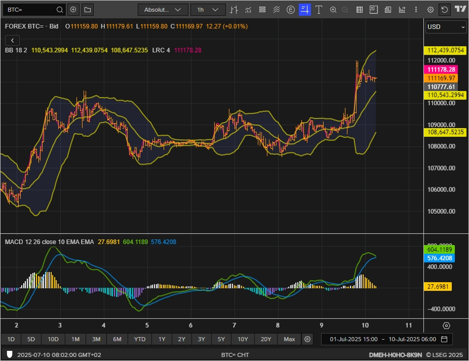 BTC chart on the hourly time frame